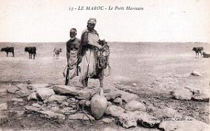 Puits typiques d'AFN - 104